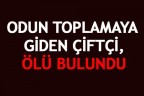ODUN TOPLAMAYA GİDEN ÇİFTÇİ, ÖLÜ BULUNDU