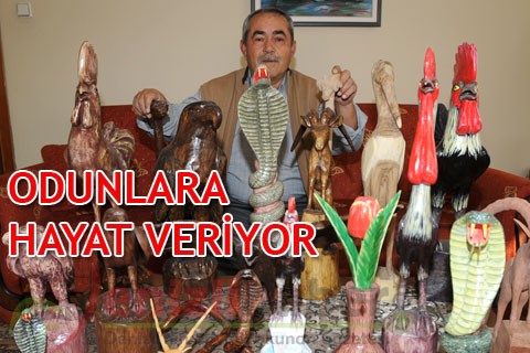 ODUNLARA HAYAT VERİYOR