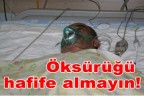 Öksürüğü hafife almayın!