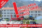 OKULLARDA DOMUZ GRİBİ PANİĞİ