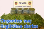 Organize suç örgütüne darbe