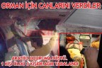 Orman için canlarını verdiler