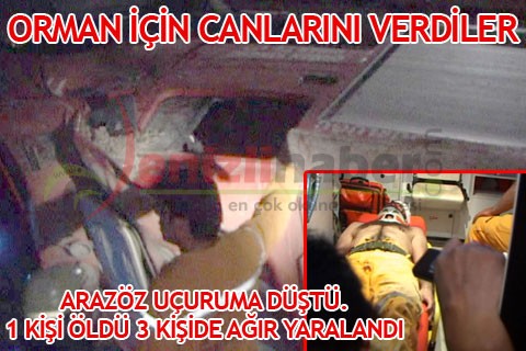 Orman için canlarını verdiler