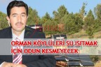ORMAN KÖYLÜLERİ SU ISITMAK İÇİN ODUN KESMEYECEK