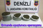 Ormanda uyuşturucu operasyonu