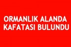 ORMANLIK ALANDA KAFATASI BULUNDU