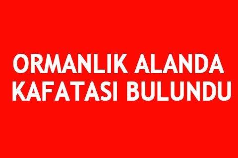 ORMANLIK ALANDA KAFATASI BULUNDU