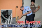 ÖZEL İDARE’DE KEDİ KURTARMA OPERASYONU