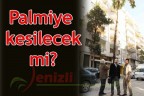 Palmiye kesilecek mi?