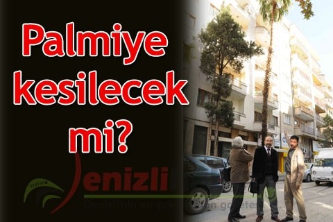Palmiye kesilecek mi?