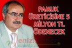 Pamuk üreticisine 5 milyon TL ödenecek
