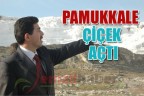 Pamukkale çiçek açtı
