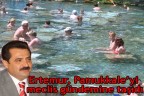 Pamukkale, Meclis gündeminde