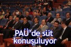 PAÜ’de süt konuşuluyor