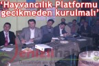 “Platform gecikmeden kurulmalı”