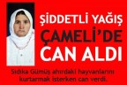 SEL CAN ALDI