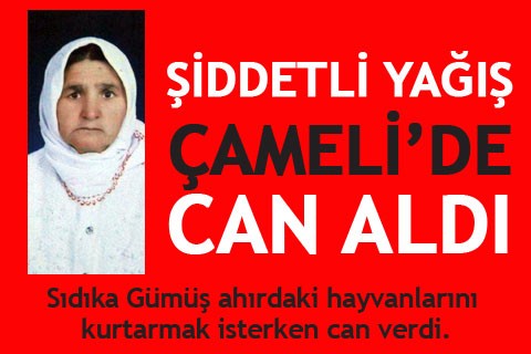 SEL CAN ALDI