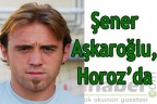 Şener Aşkaroğlu, Horoz’da