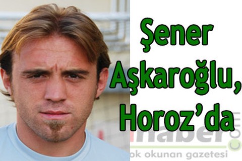 Şener Aşkaroğlu, Horoz’da