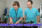 Sokak hayvanları sahipsiz değil