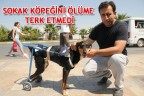 SOKAK KÖPEĞİNİ ÖLÜME TERK ETMEDİ