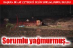 Sorumlu: Yağmur