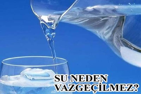 SU NEDEN VAZGEÇİLMEZ?