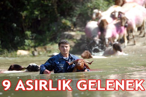 Sudan koyun geçirme yarışması
