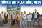 Sünnet altınları ağaç oldu
