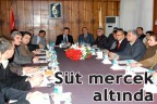 Süt mercek altında