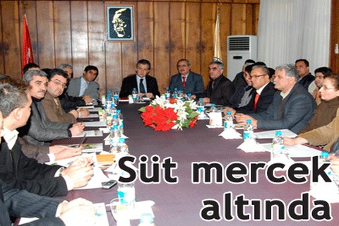 Süt mercek altında