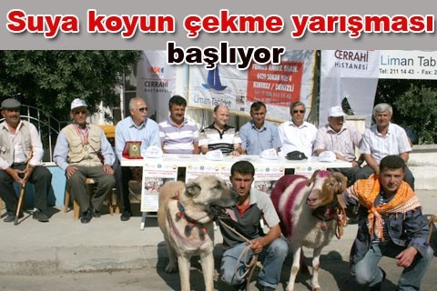 Suya koyun çekme yarışması başlıyor