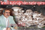 Tarım İl Müdürlüğü’nden mantar uyarısı