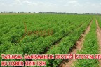 TARIMSAL DANIŞMANLIK DESTEĞİ İSTEYENLER BU HABER SİZİN İÇİN