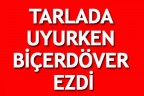 TARLADA UYURKEN BİÇERDÖVER EZDİ
