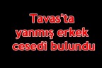 Tavas’ta yanmış erkek cesedi bulundu