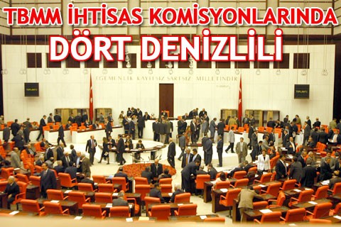 TBMM İHTİSAS KOMİSYONLARINDA DÖRT DENİZLİLİ