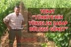 TOKAT “TÜRKİYE’NİN YÜKSELEN ŞARAP BÖLGESİ GÜNEY”