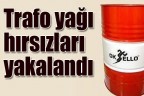 Trafo yağı hırsızları yakalandı