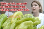 Türkiye’nin patentli üç biberinden Kale, tütüne alternatif oldu