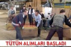 TÜTÜN ALIMLARI BAŞLADI