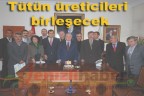 Tütün üreticileri birleşecek