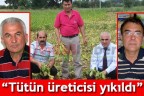 “Tütün üreticisi yıkıldı”