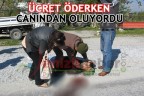 ÜCRET ÖDERKEN CANINDAN OLUYORDU
