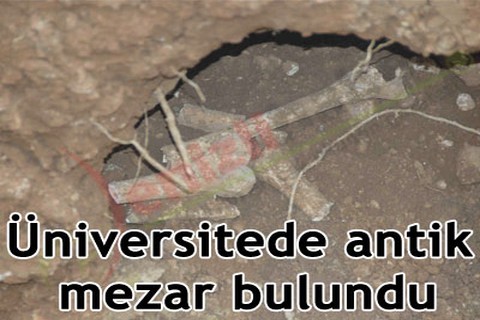 Üniversitede antik mezar bulundu