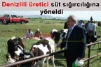 Üretici süt sığırcılığına yöneldi