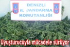 Uyuşturucuyla mücadele sürüyor