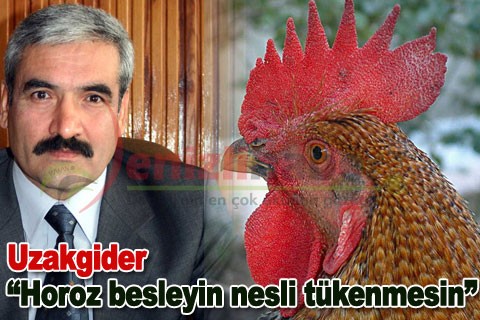 Uzakgider “Horoz besleyin nesli tükenmesin”