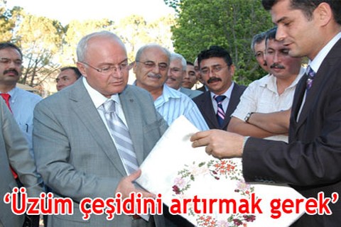 Üzüm çeşidini artırmak gerek