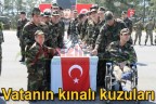 Vatanın kınalı kuzuları